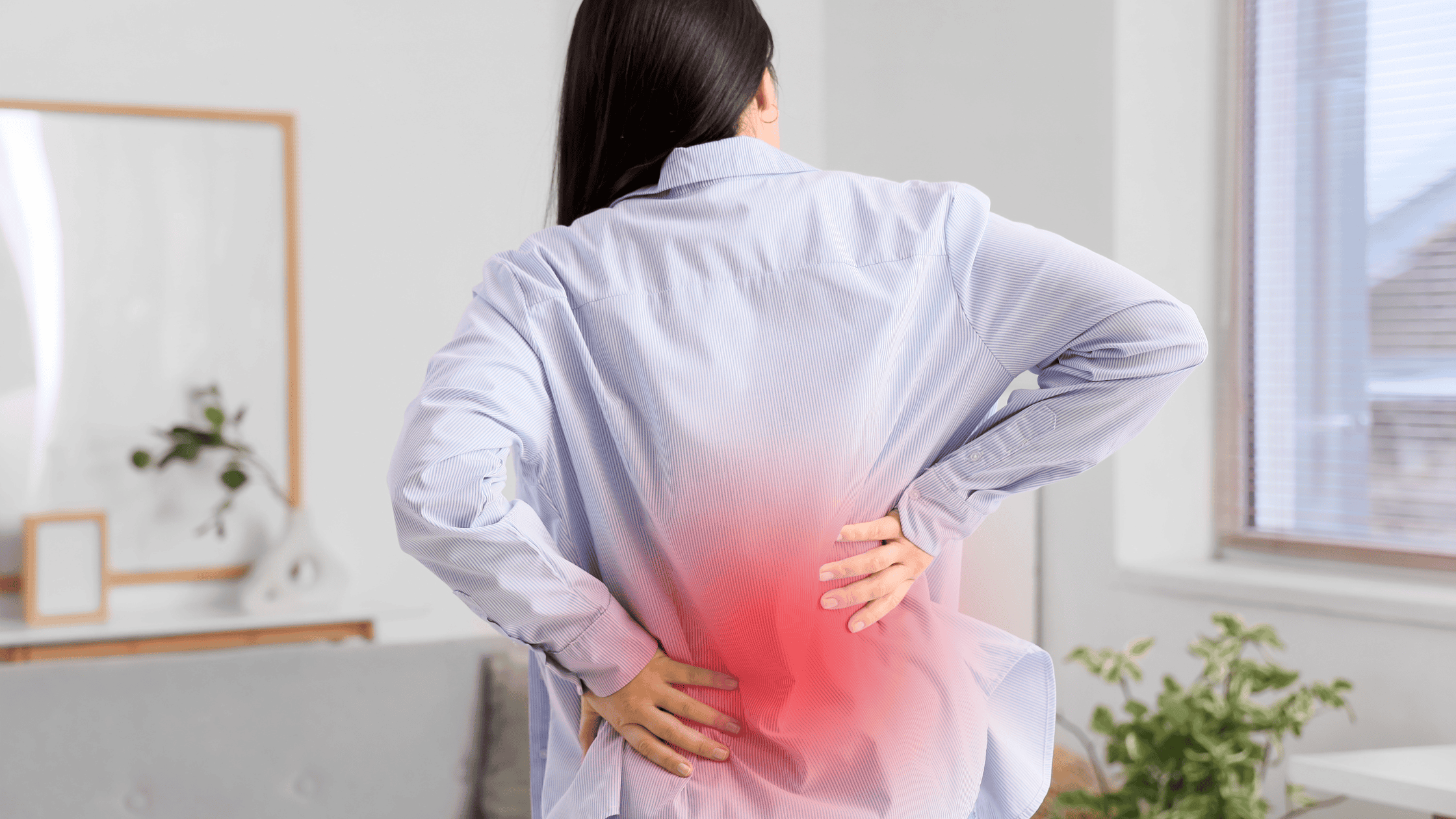 causes of chronic back pain causes of chronic back pain