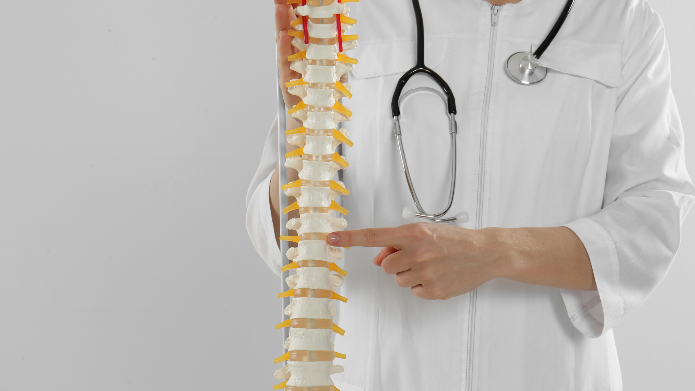 Multidisciplinary spine care